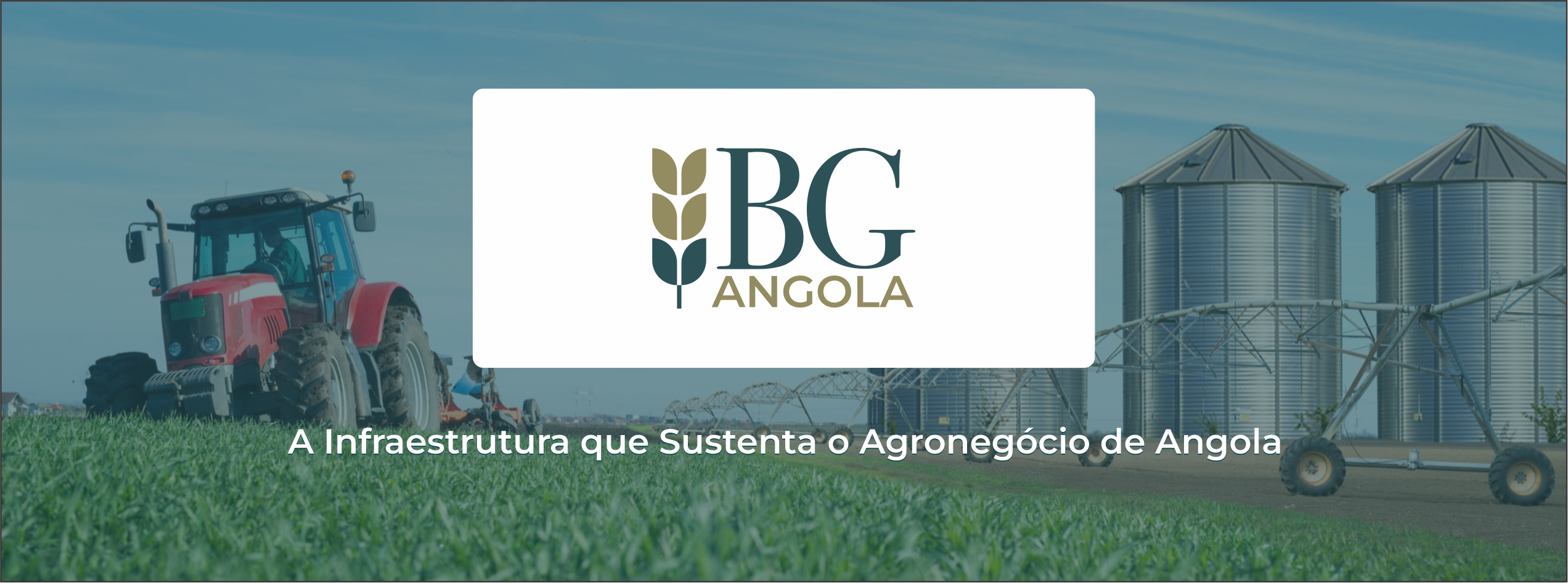 Banner Banco do Grão