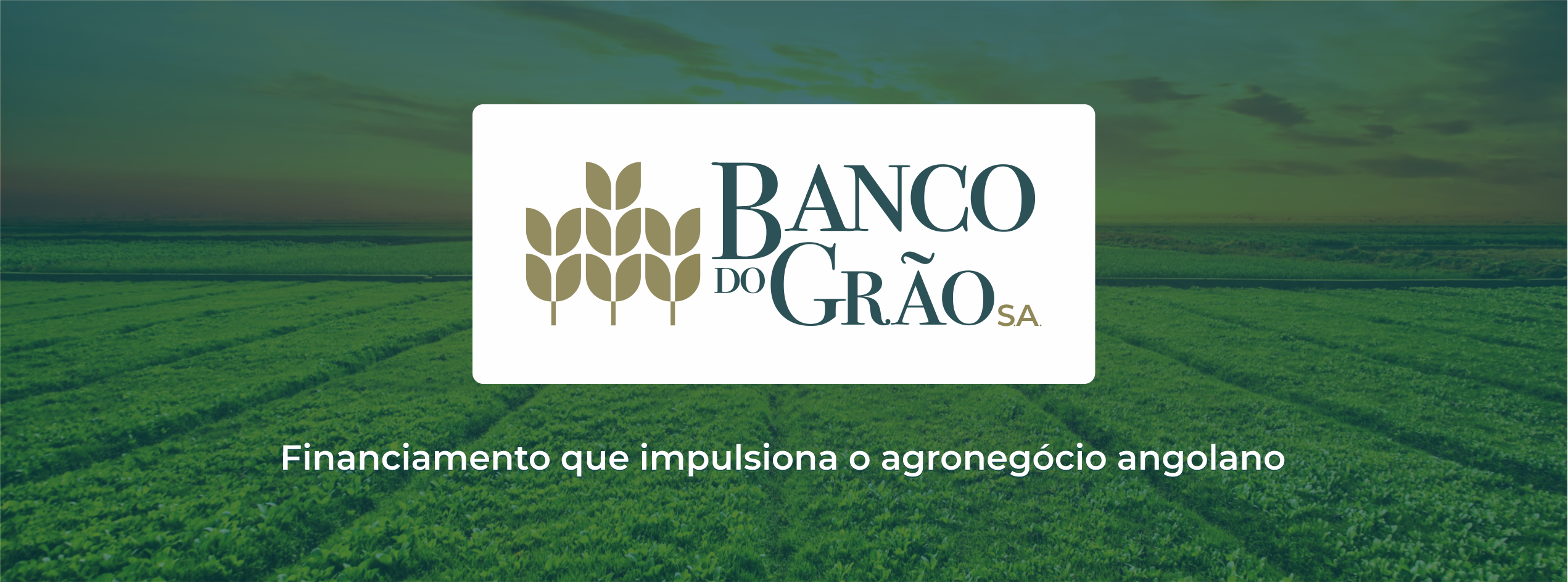 Banner Banco do Grão