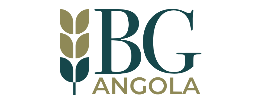 Logo BG Angola